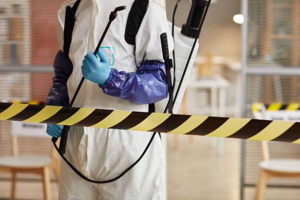 Professional Sewage Cleanup technician working in Mount Pleasant, TX