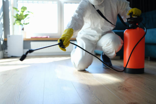 Reliable Sewage Cleanup contractor in Mount Pleasant, TX by Trauma Clean Pros